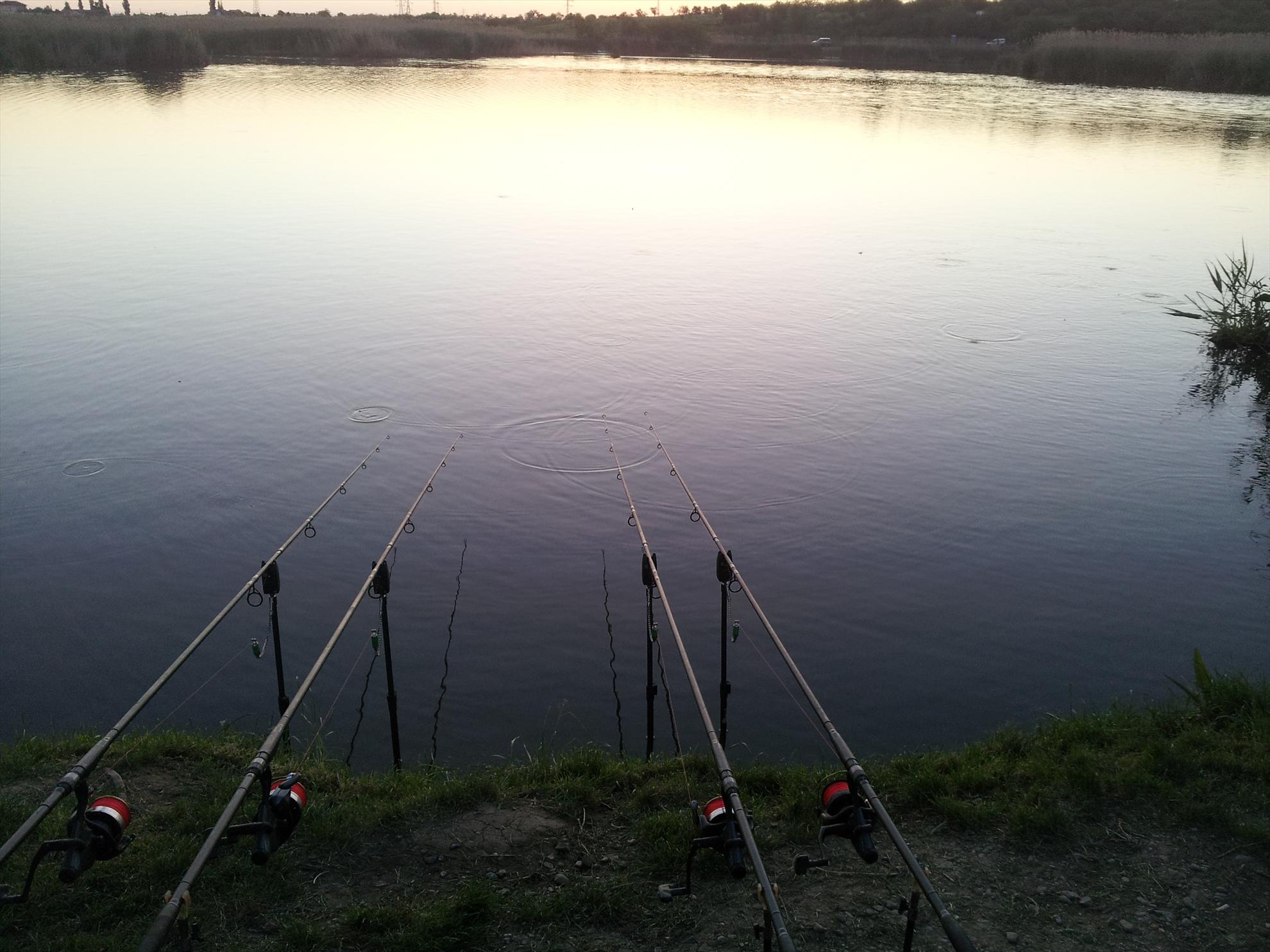 Prima Partida 2013 - Tancabesti Vaci 0 - 20130511203629.jpg